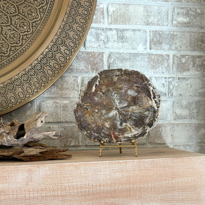 petrified wood decorative object
