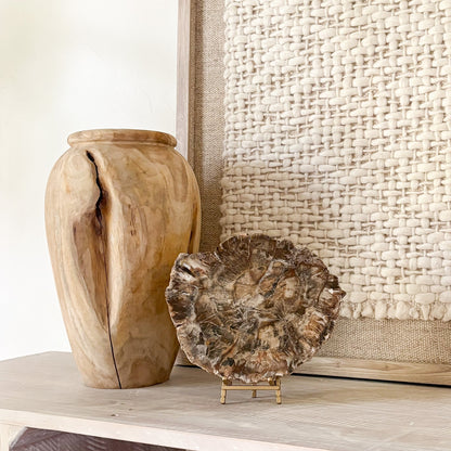 petrified wood decorative accents