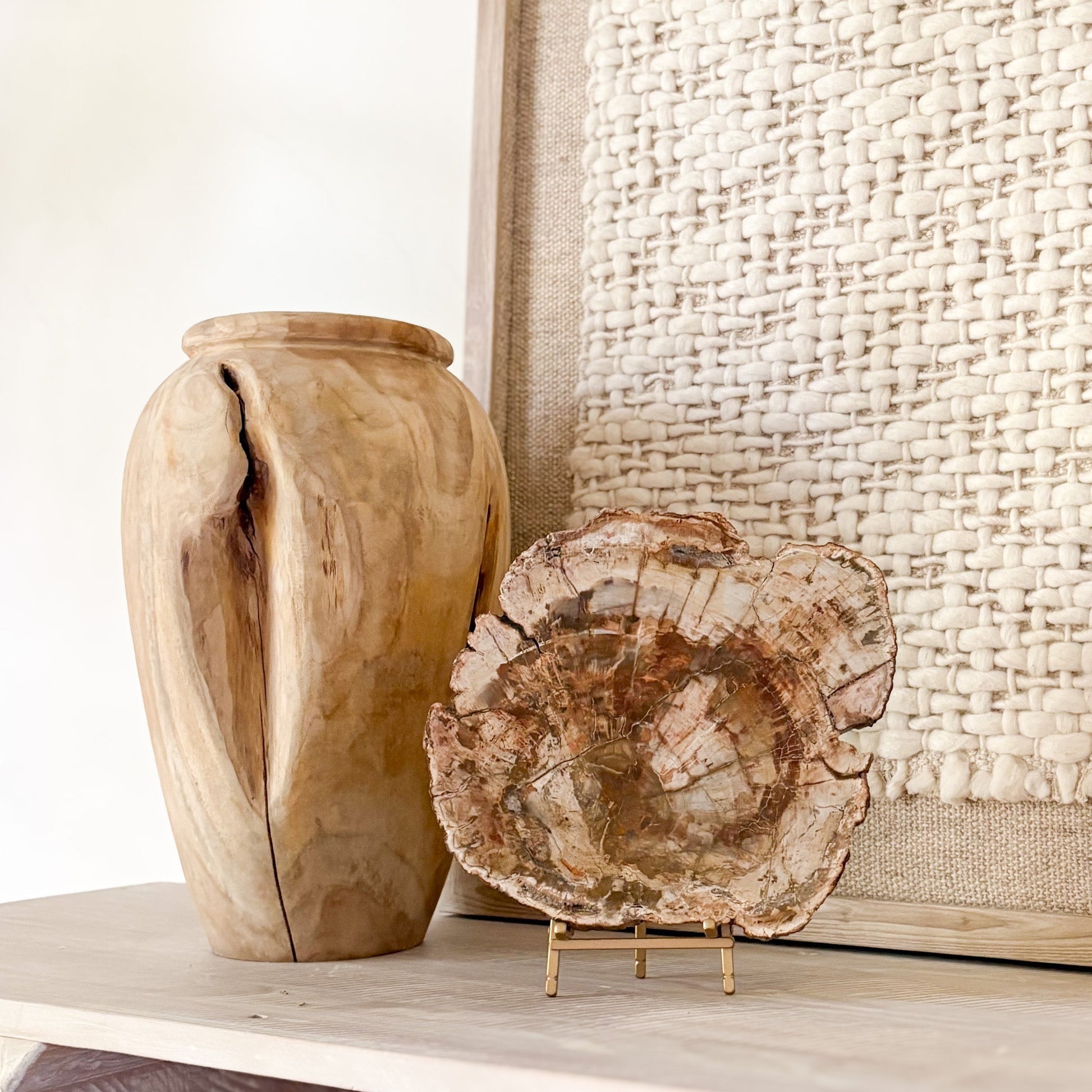 petrified wood home accents