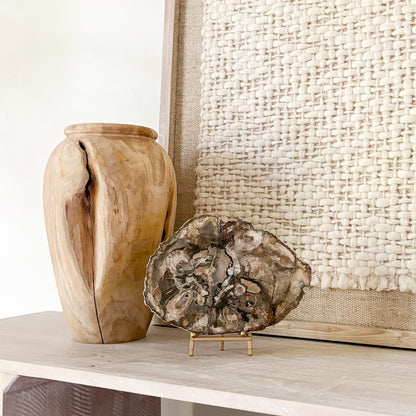 fossilized wood home accents