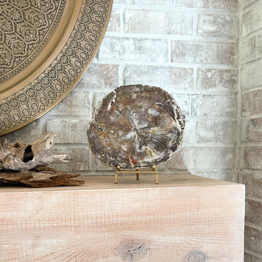 decorative indonesian fossilized wood slab on brass easel stand