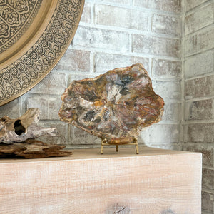 fossilized wood slab on brass easel stand