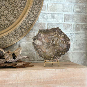 decorative indonesian petrified wood slab on brass easel stand