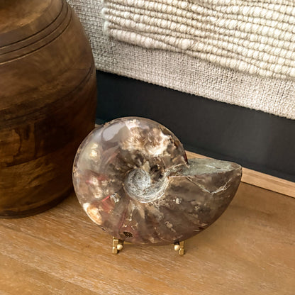 Madagascar ammonite fossil sculpture elegant home decoration