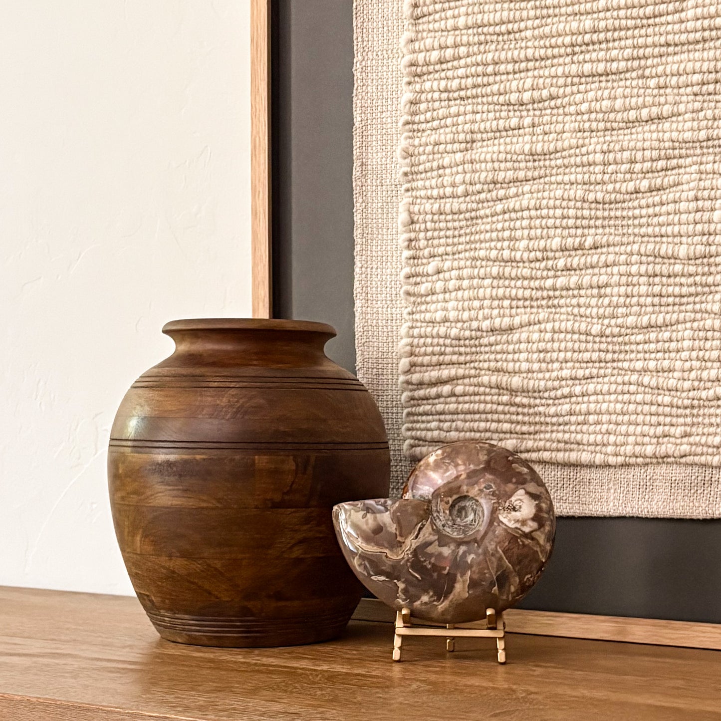 Natural Madagascar fossil ammonite statement piece for home decor