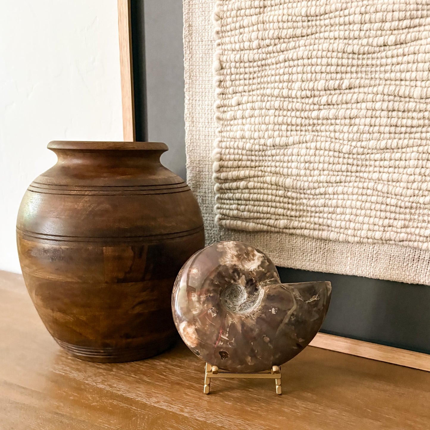 Premium ammonite fossil from Madagascar luxury interior decor
