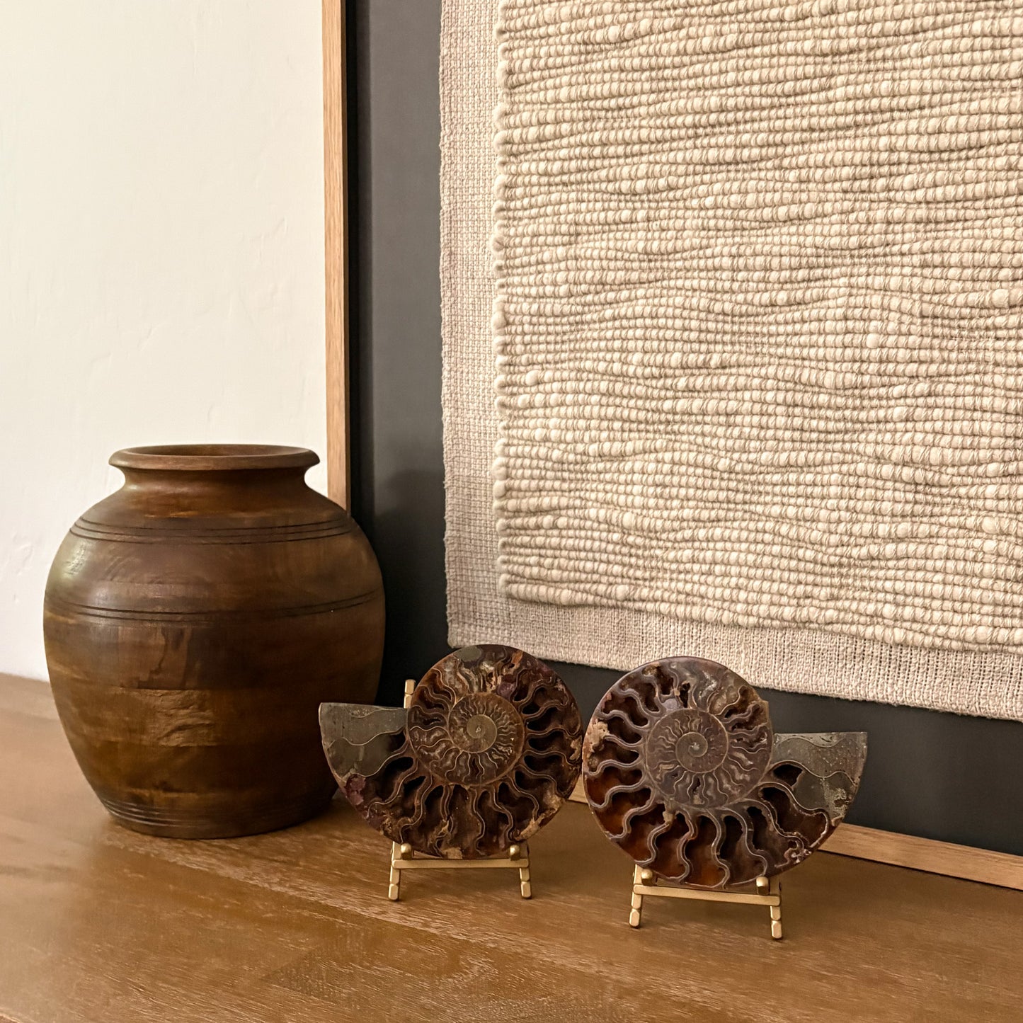 Madagascar Fossil Ammonite luxury home decor display specimen