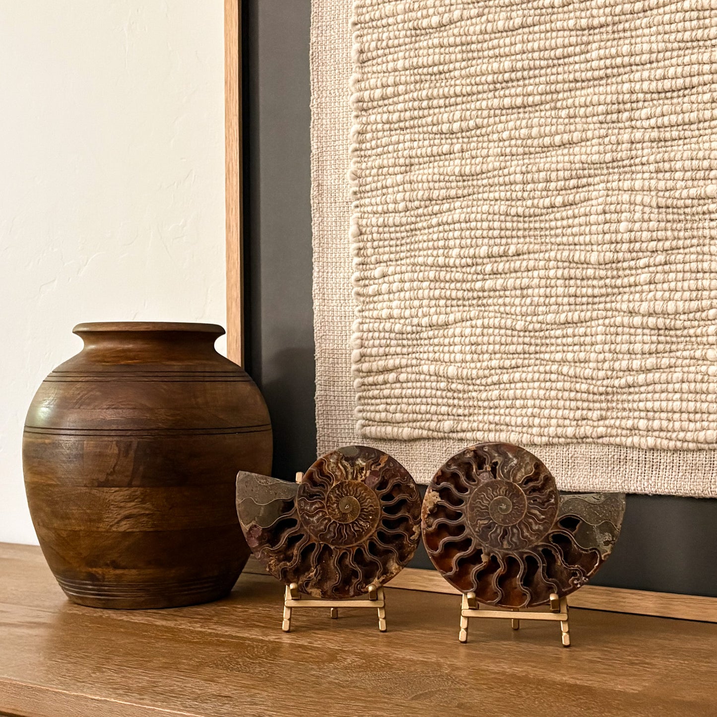 Polished ammonite fossil from Madagascar featuring stunning mineral details for sophisticated interior design