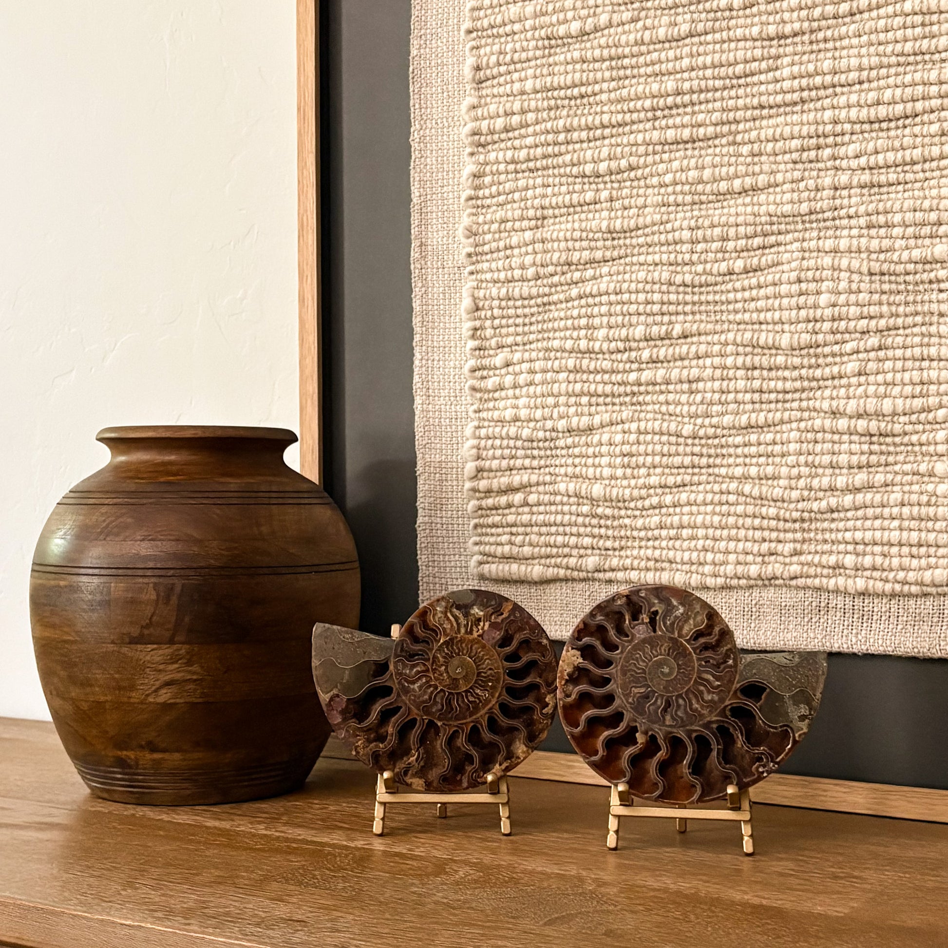Polished ammonite fossil from Madagascar featuring stunning mineral details for sophisticated interior design