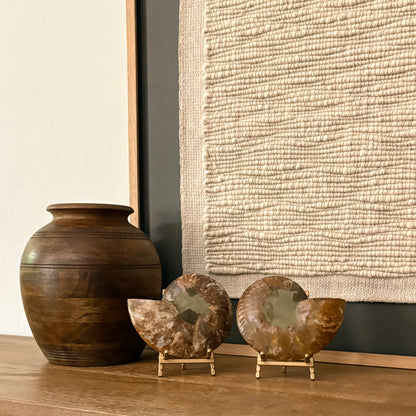 Museum-quality Madagascar ammonite fossil with rich earth tones and striking spiral formation for luxury interiors