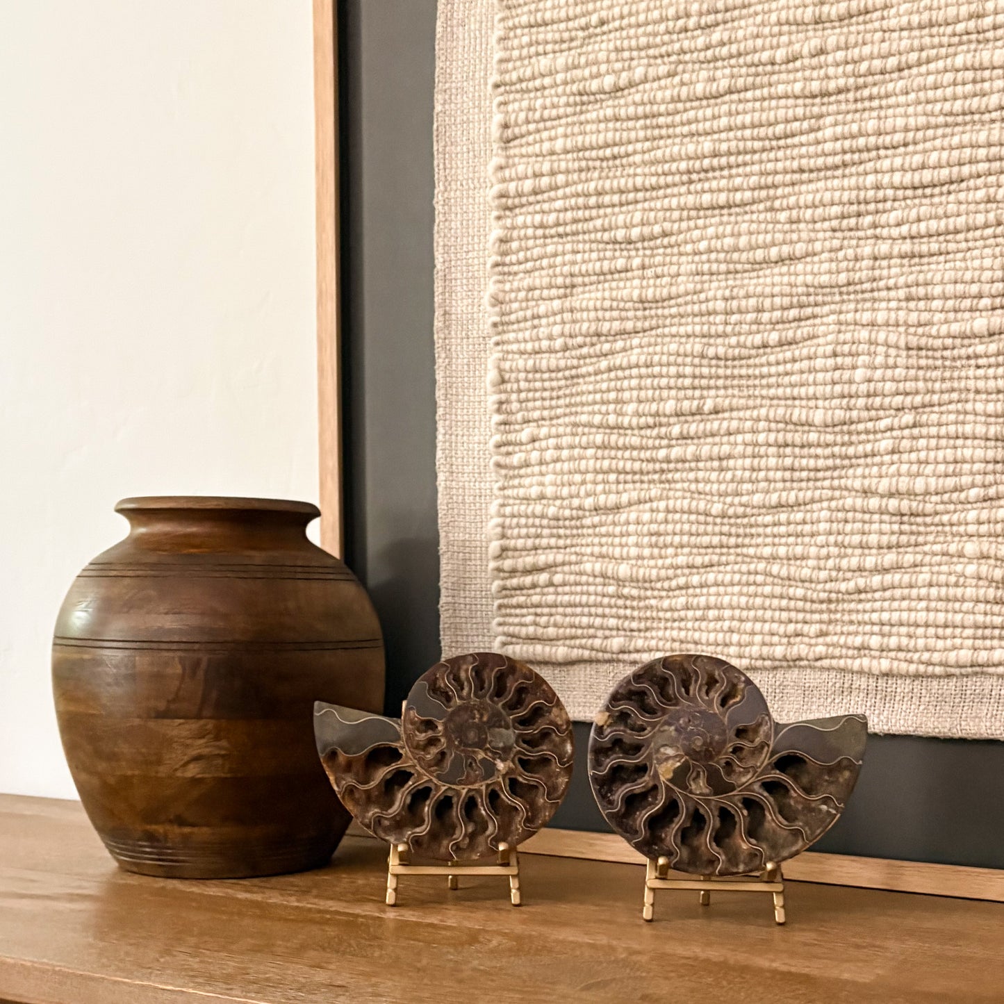 Luxury Madagascar ammonite fossil decor piece featuring natural prehistoric artistry and timeless elegance