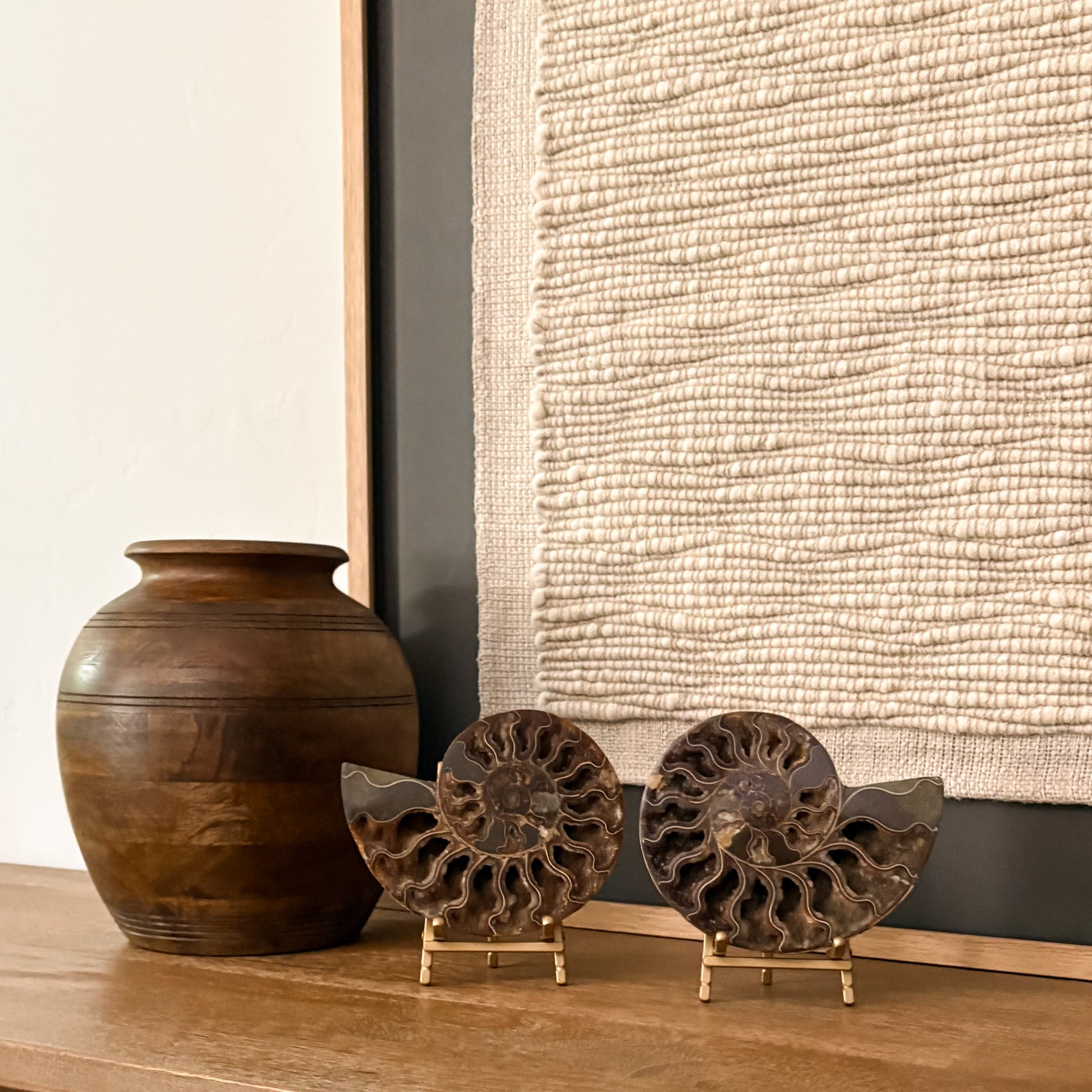 Luxury Madagascar ammonite fossil decor piece featuring natural prehistoric artistry and timeless elegance