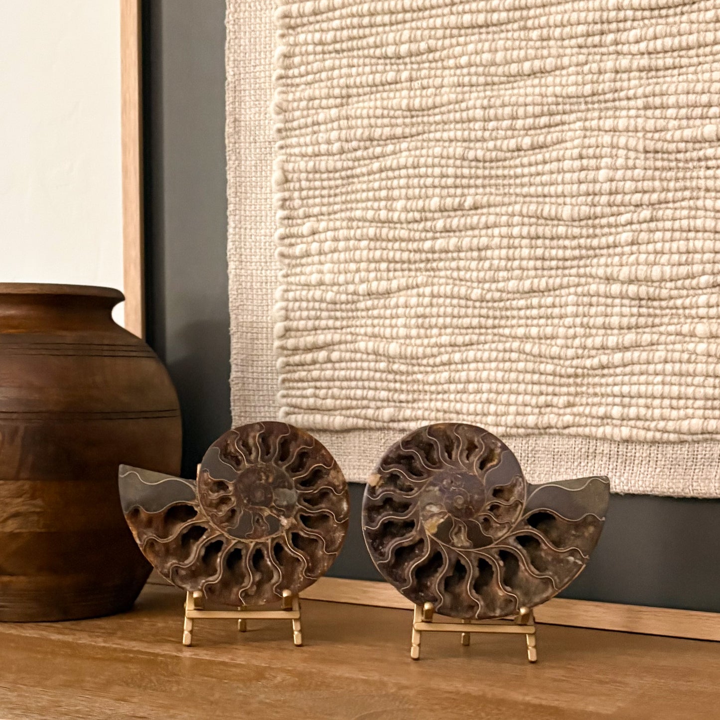 Madagascar ammonite fossil sculpture elegant home decoration