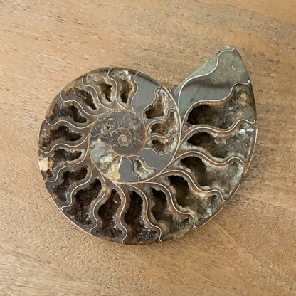 Exclusive Madagascar ammonite fossil centerpiece bringing natural history and luxury design together