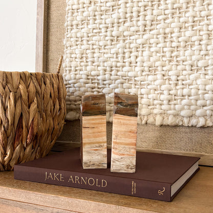 Agatized petrified wood bookends from Madagascar with organic raw edges and polished interior face