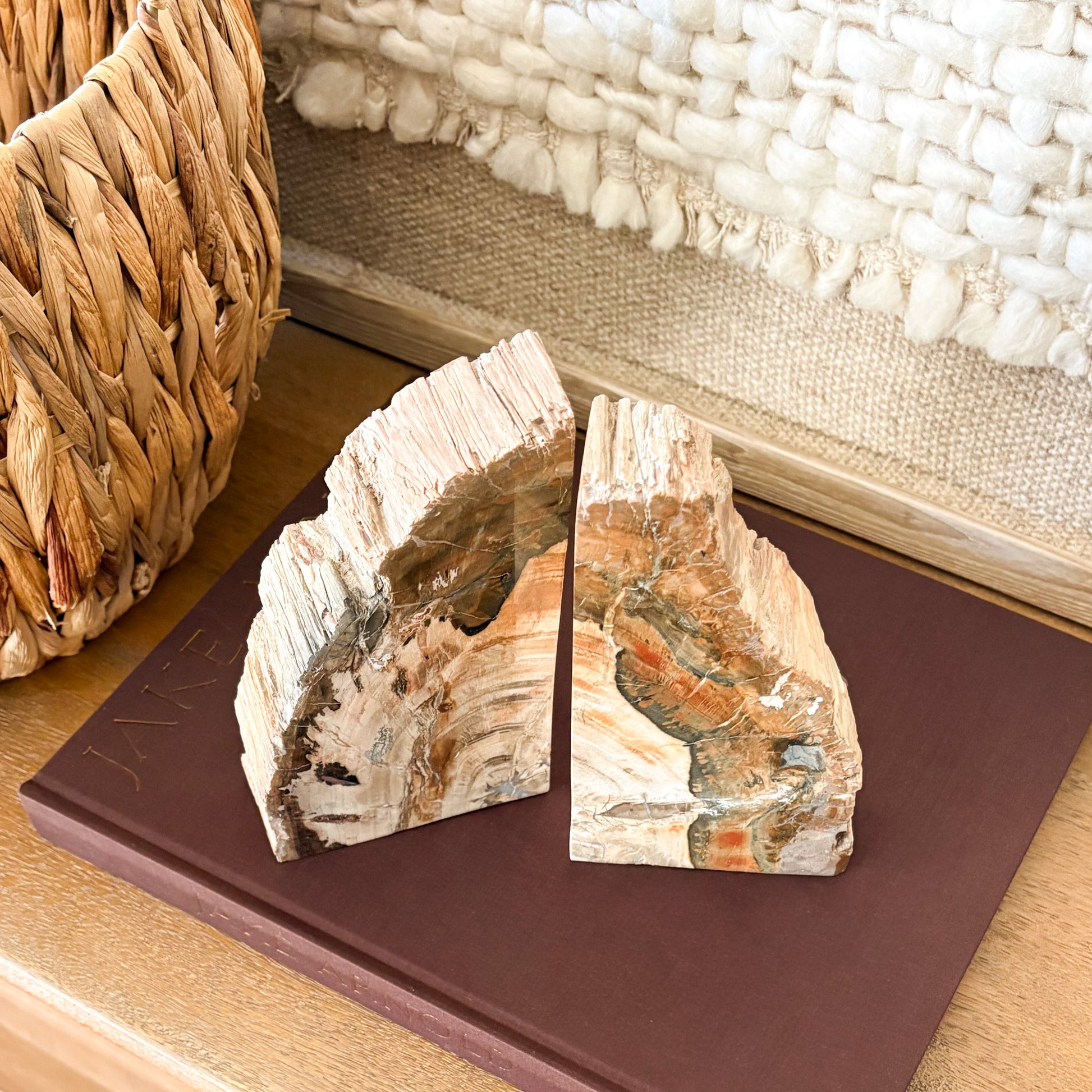 Fossilized Madagascar petrified wood bookends styled on a shelf with a book and woven decor
