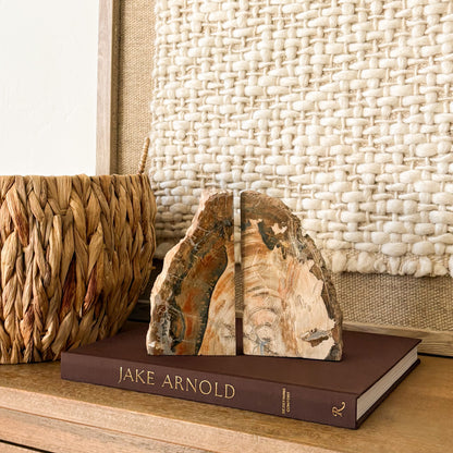 Madagascar petrified wood bookend pair with natural fossilized wood grain and polished cut face