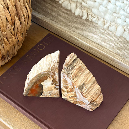 Madagascar petrified wood bookends with natural fossilized wood grain used as decorative shelf bookends