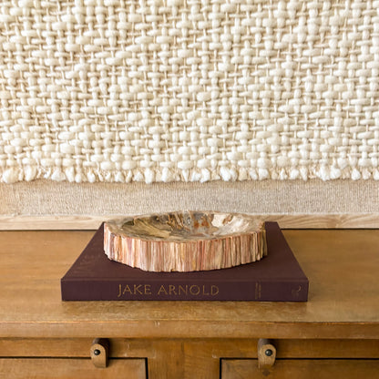 Natural petrified wood bowl displayed in modern organic home decor