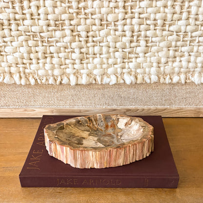 Small Madagascar petrified wood bowl with natural edge fossil grain displayed on book