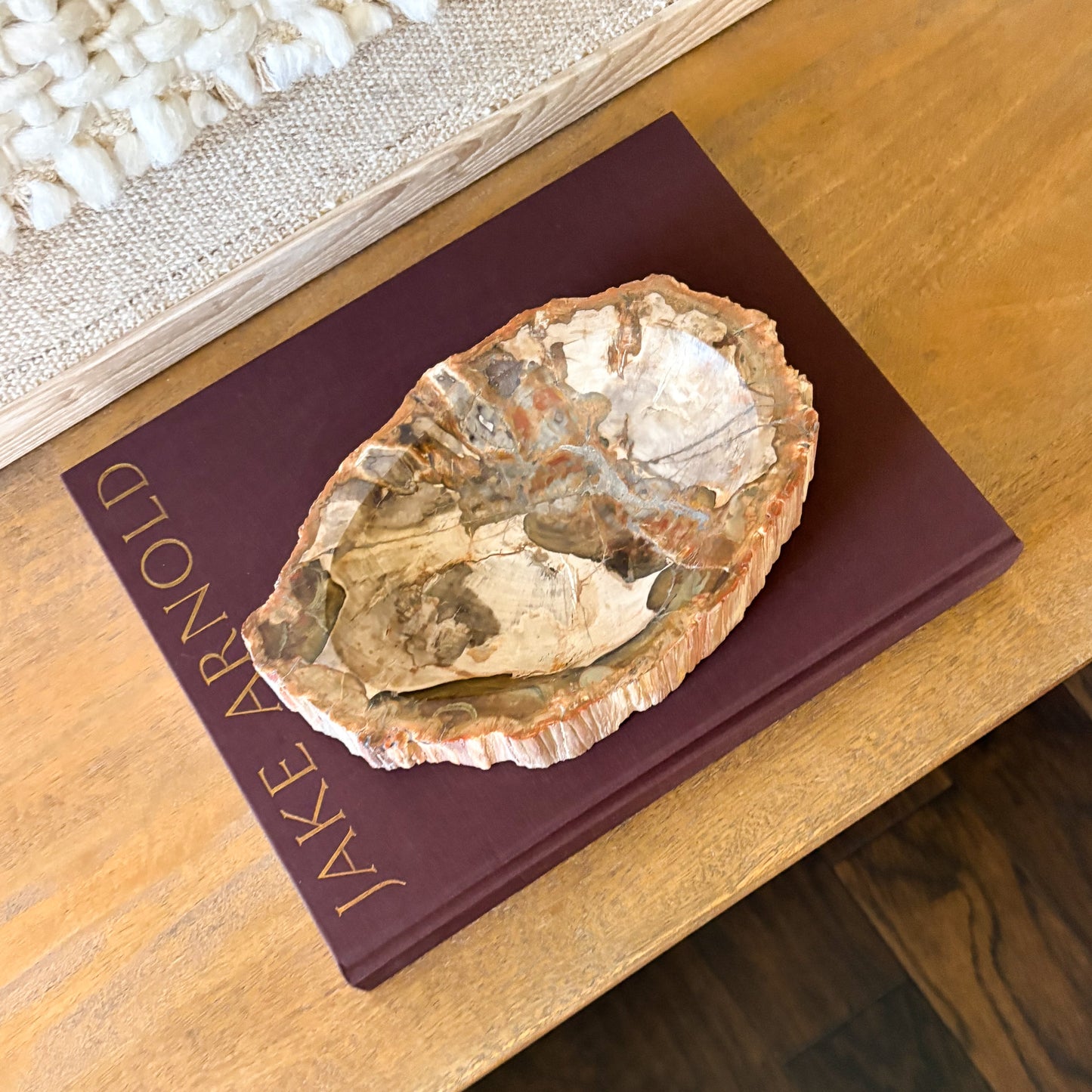Top view of small petrified wood bowl with fossil wood interior