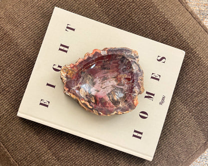 Small Madagascar petrified wood bowl