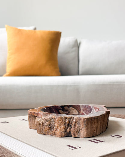 Natural Madagascar petrified wood decorative object