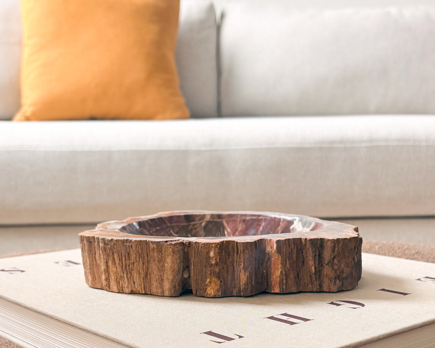 Madagascar petrified wood bowl with natural grain