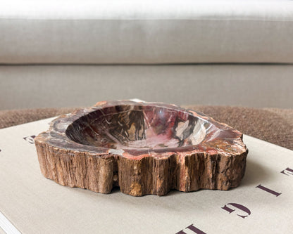Petrified wood bowl with organic texture and mineral patterning