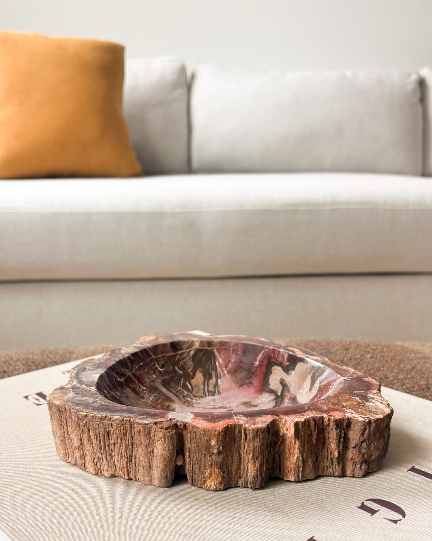 Small hand carved petrified wood catchall bowl