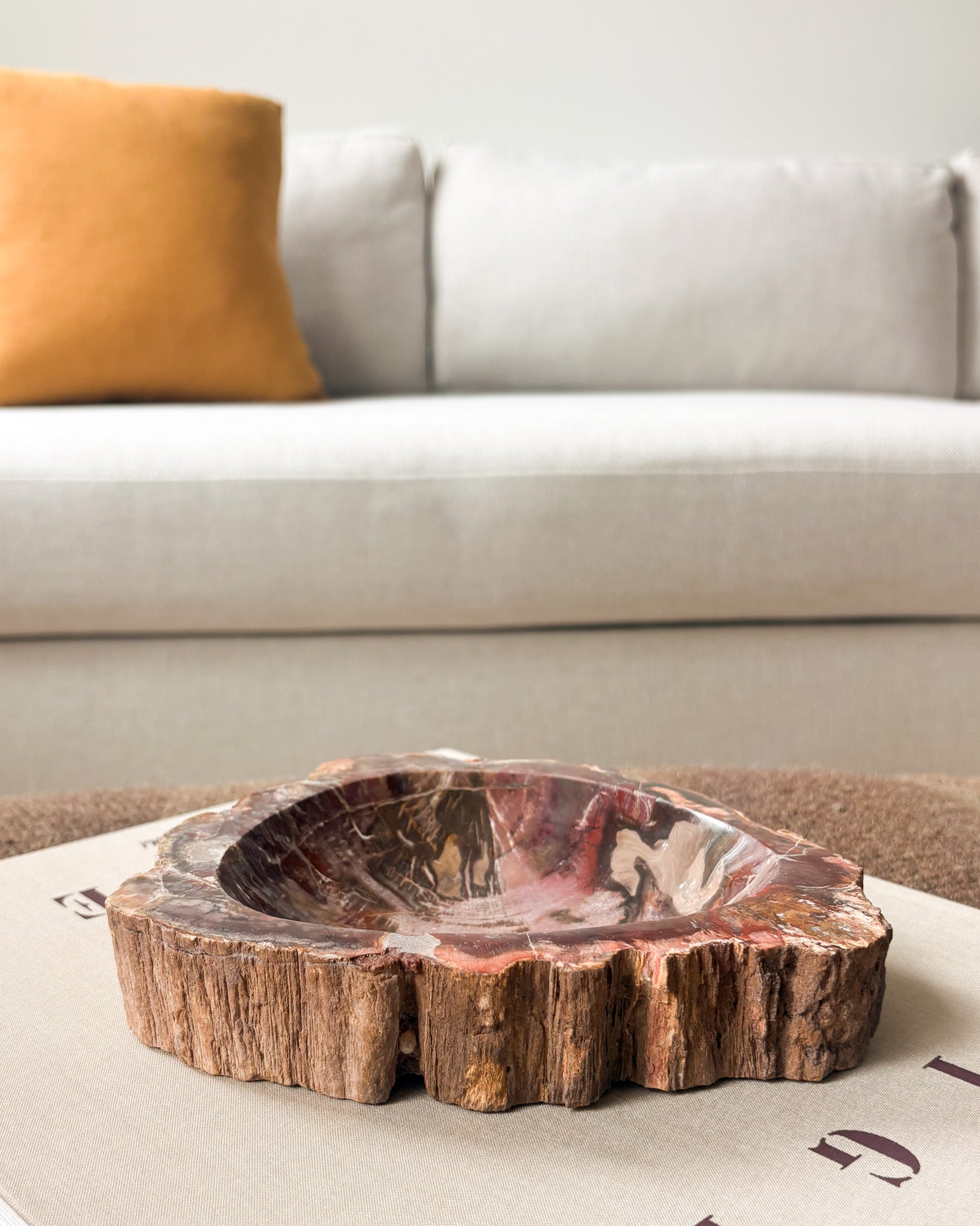 Small hand carved petrified wood catchall bowl