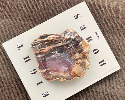 Hand carved Madagascar petrified wood bowl