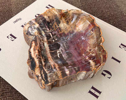 Natural petrified wood bowl from Madagascar