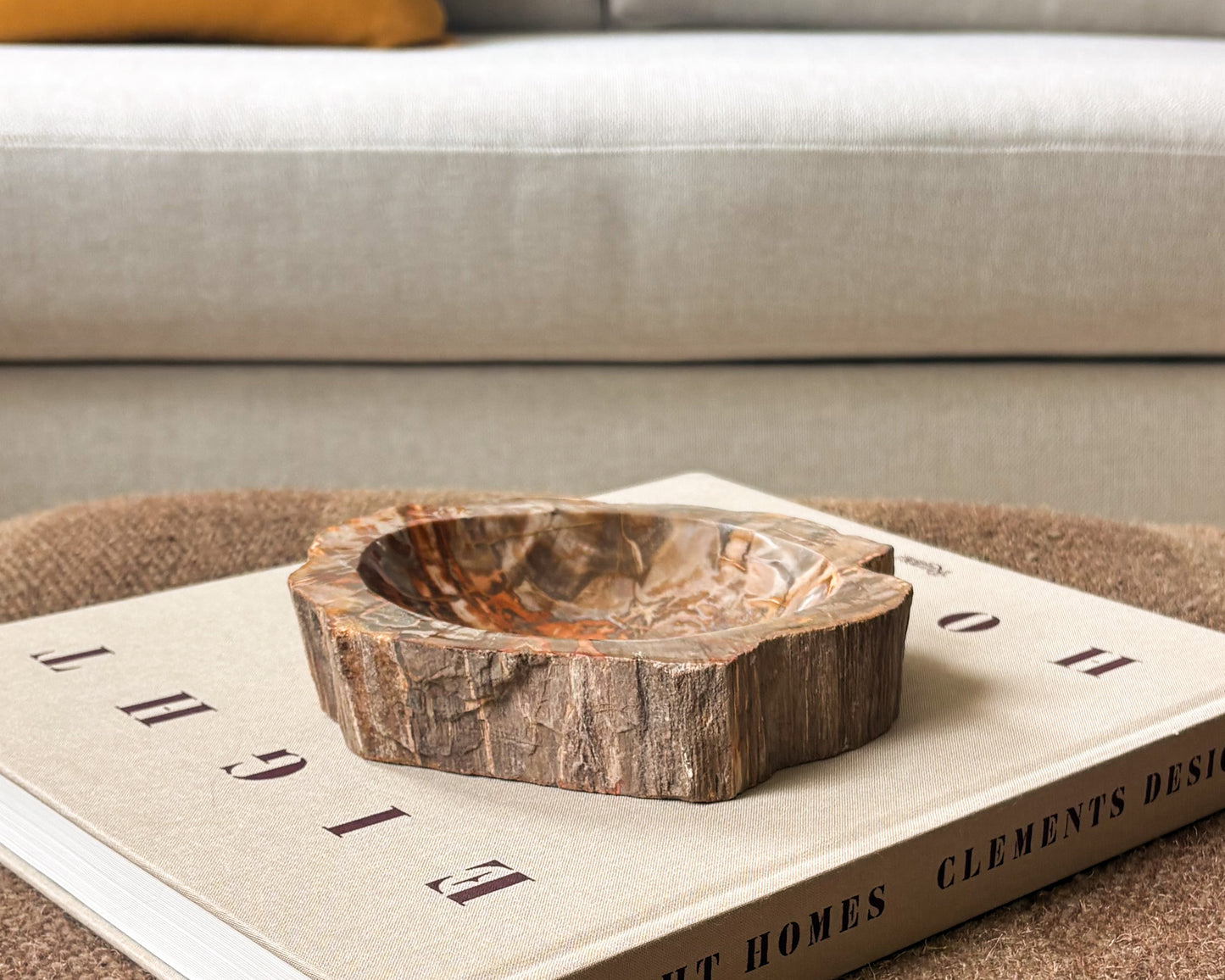 One of a kind Madagascar petrified wood bowl
