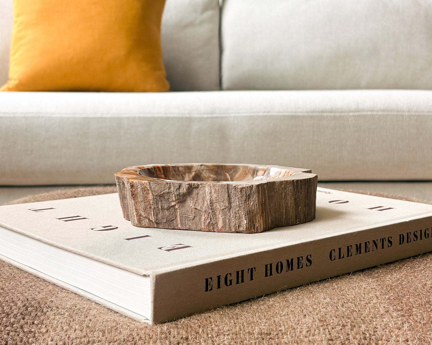Natural petrified wood bowl from Madagascar