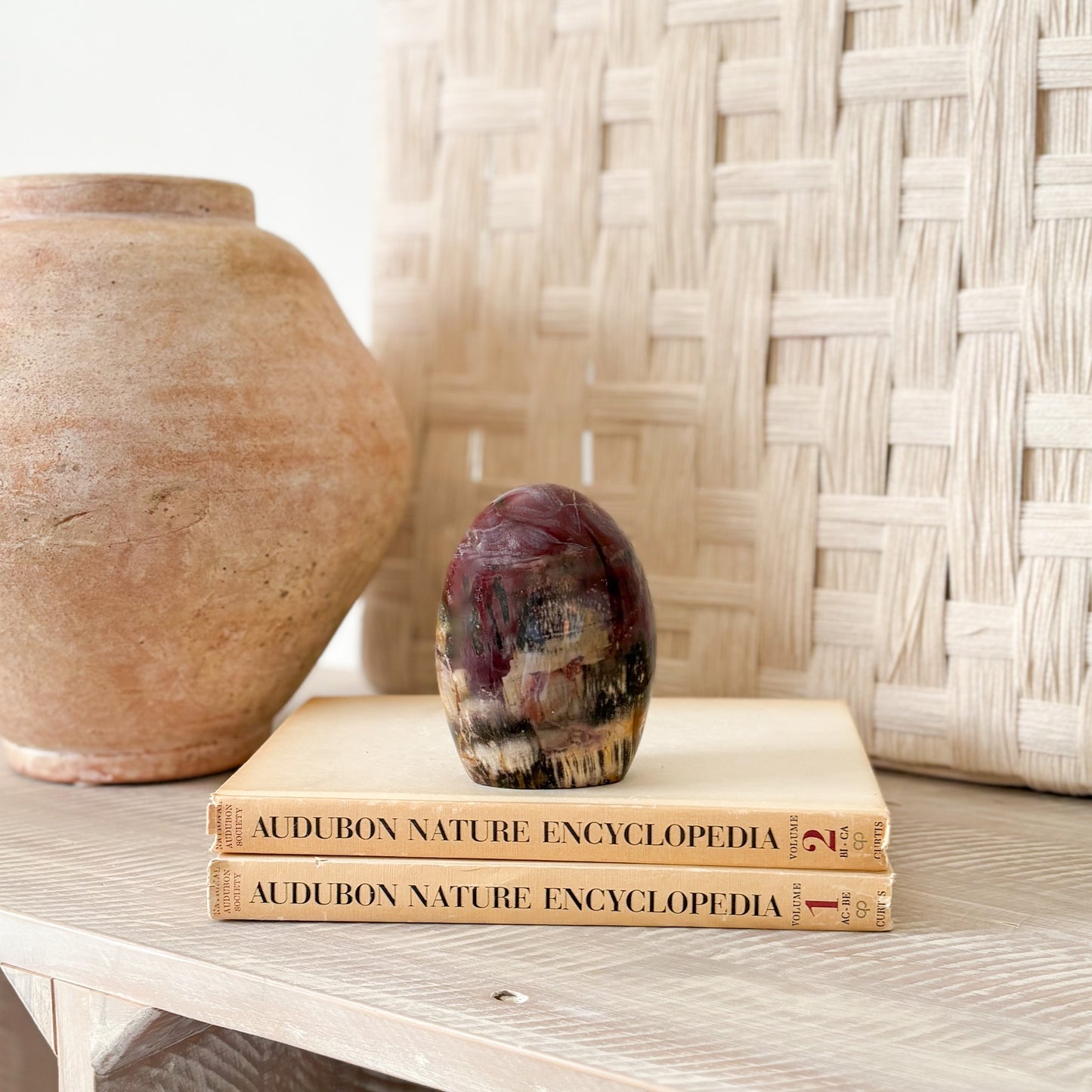 madagascar fossilized wood decorative object 