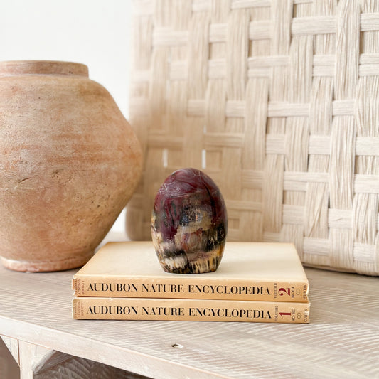 madagascar fossilized wood decorative object 