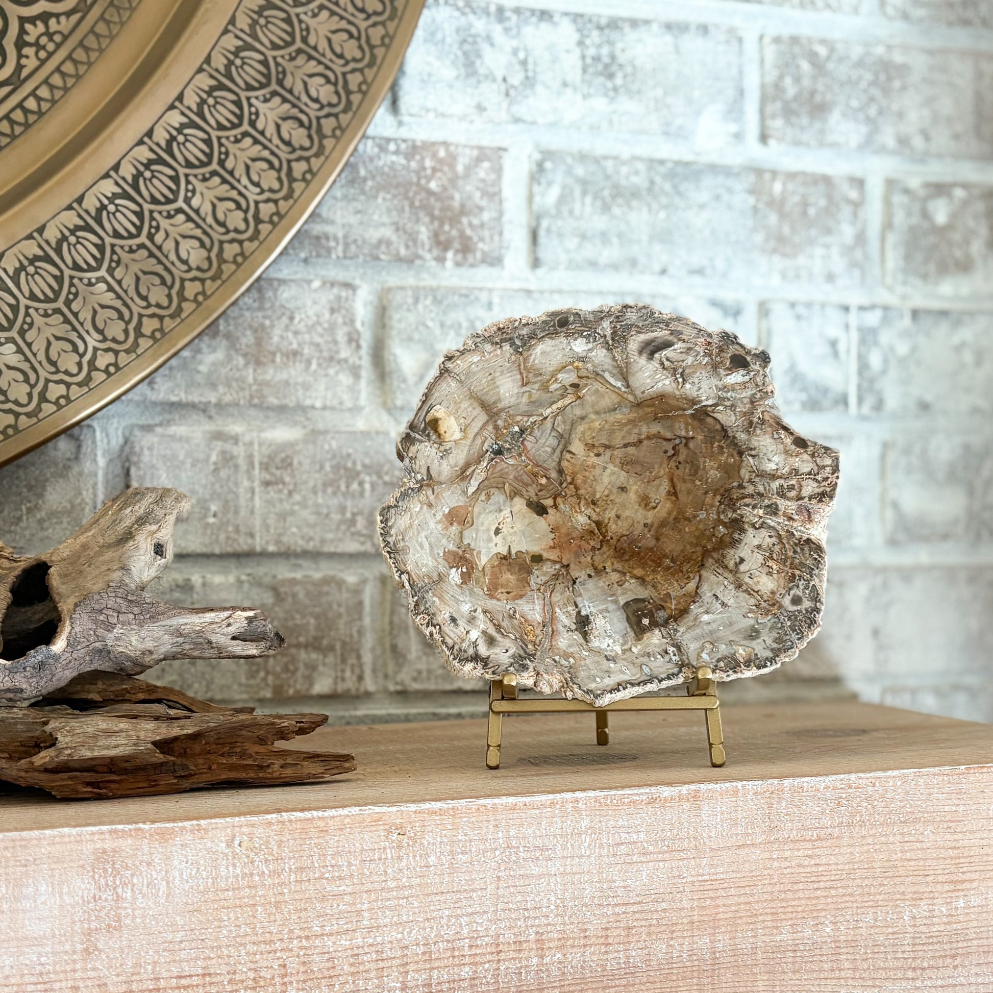 modern organic home decor
