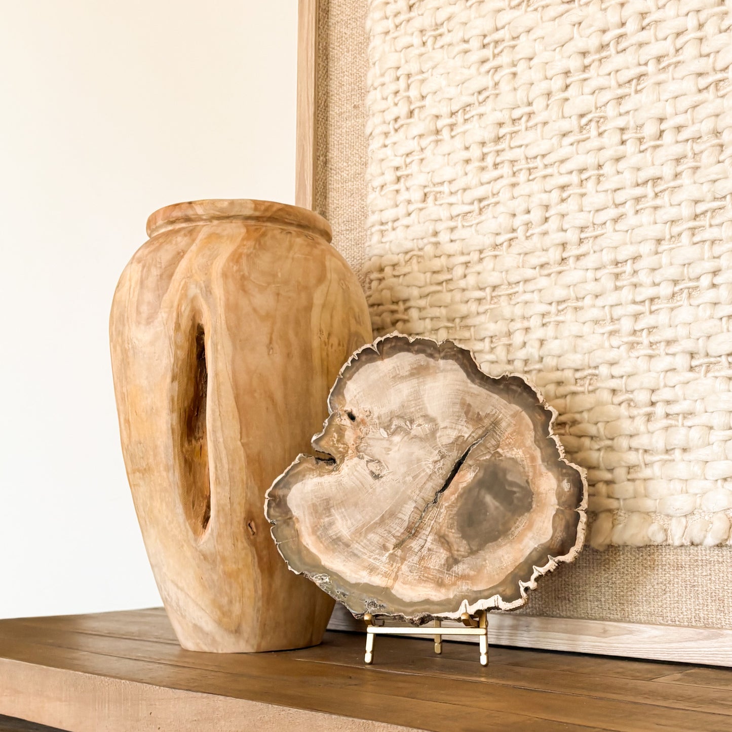 Close-up of decorative Madagascar petrified wood slab showing fossilized tree rings, crystalized minerals, and natural earth colors