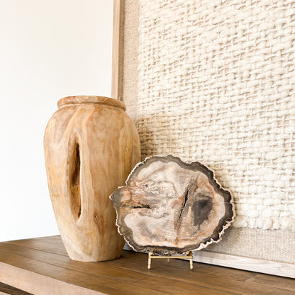 Madagascar petrified wood slab formed from fossilized ancient tree, polished natural stone decor piece