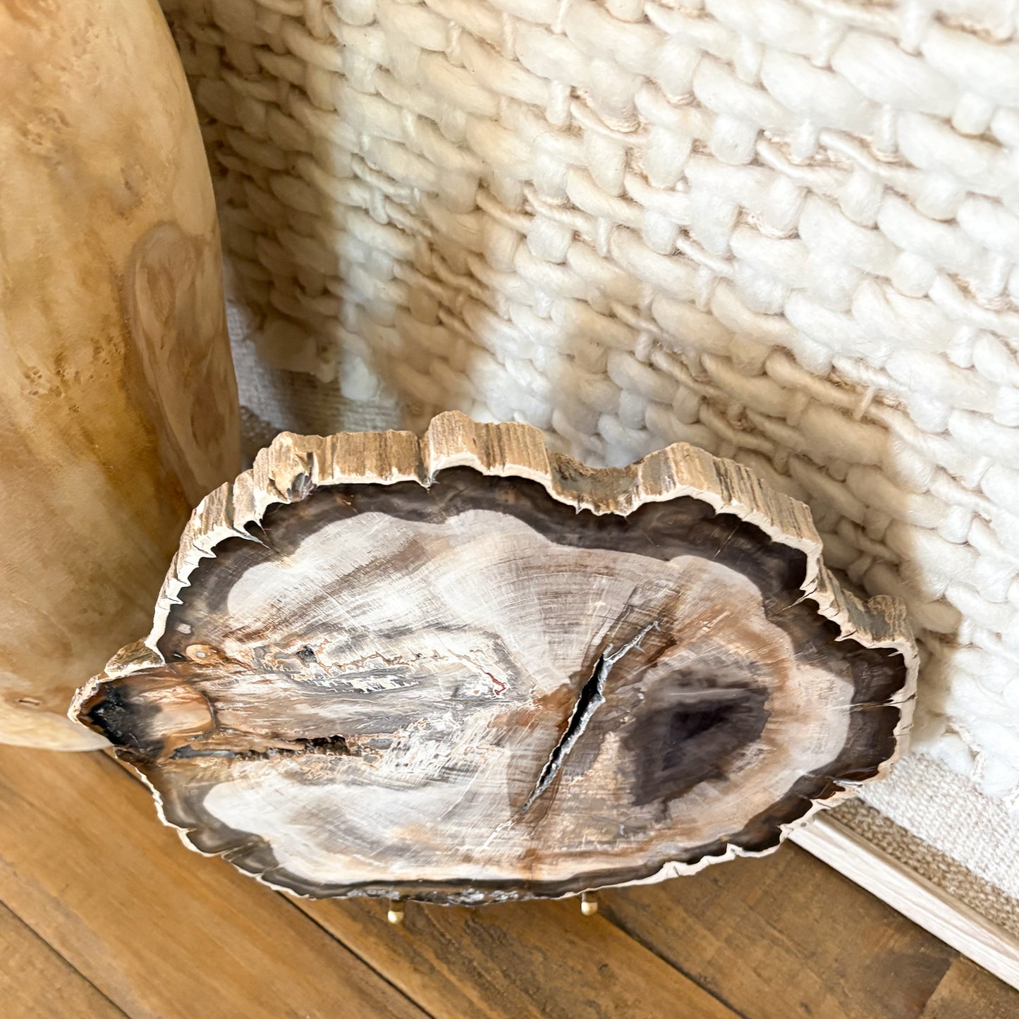 Decorative Madagascar petrified wood slab natural fossil wood stone decor