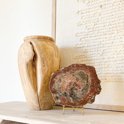 Premium Madagascar petrified wood slab rare fossil specimen