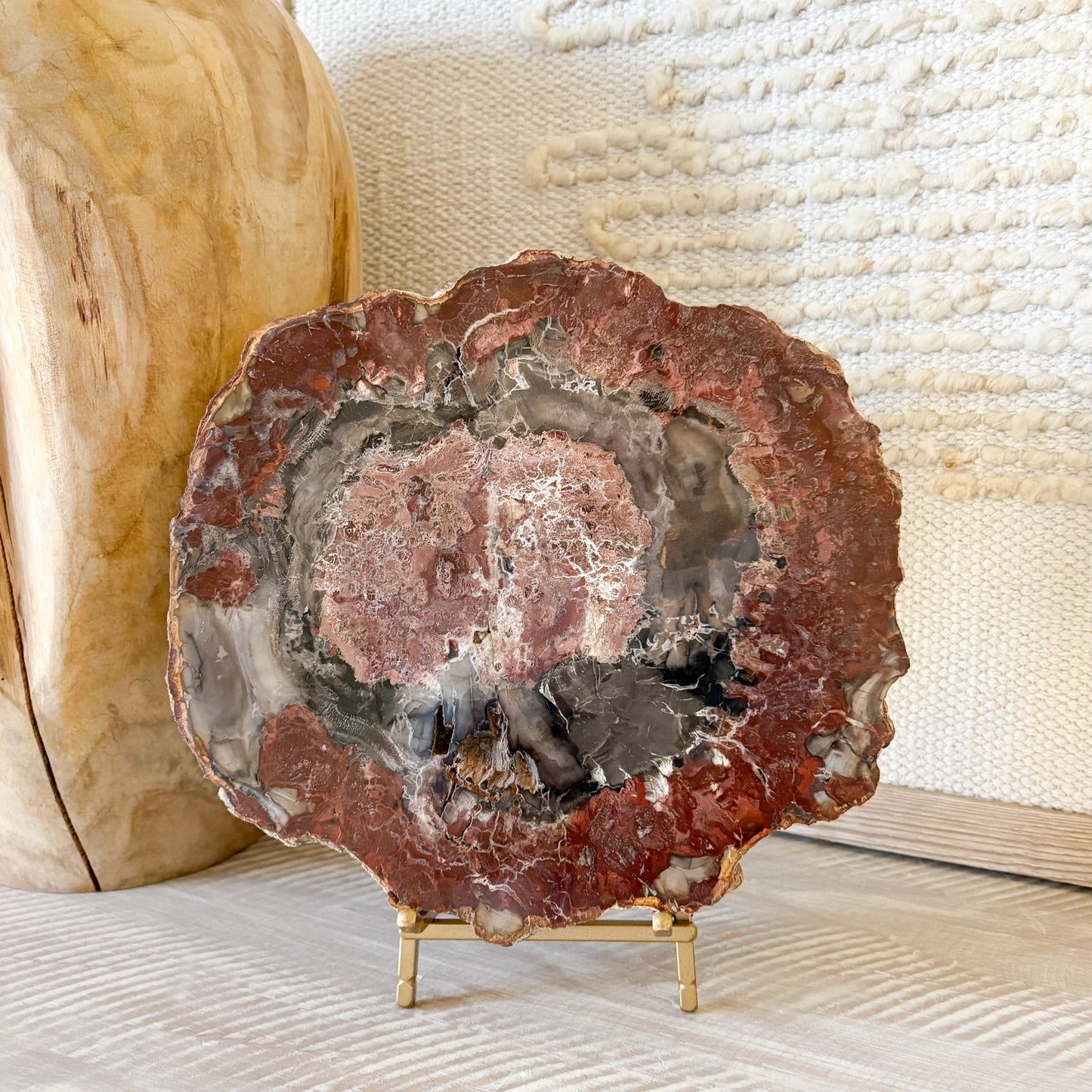 Close up of Madagascar petrified wood slab showing preserved grain detail