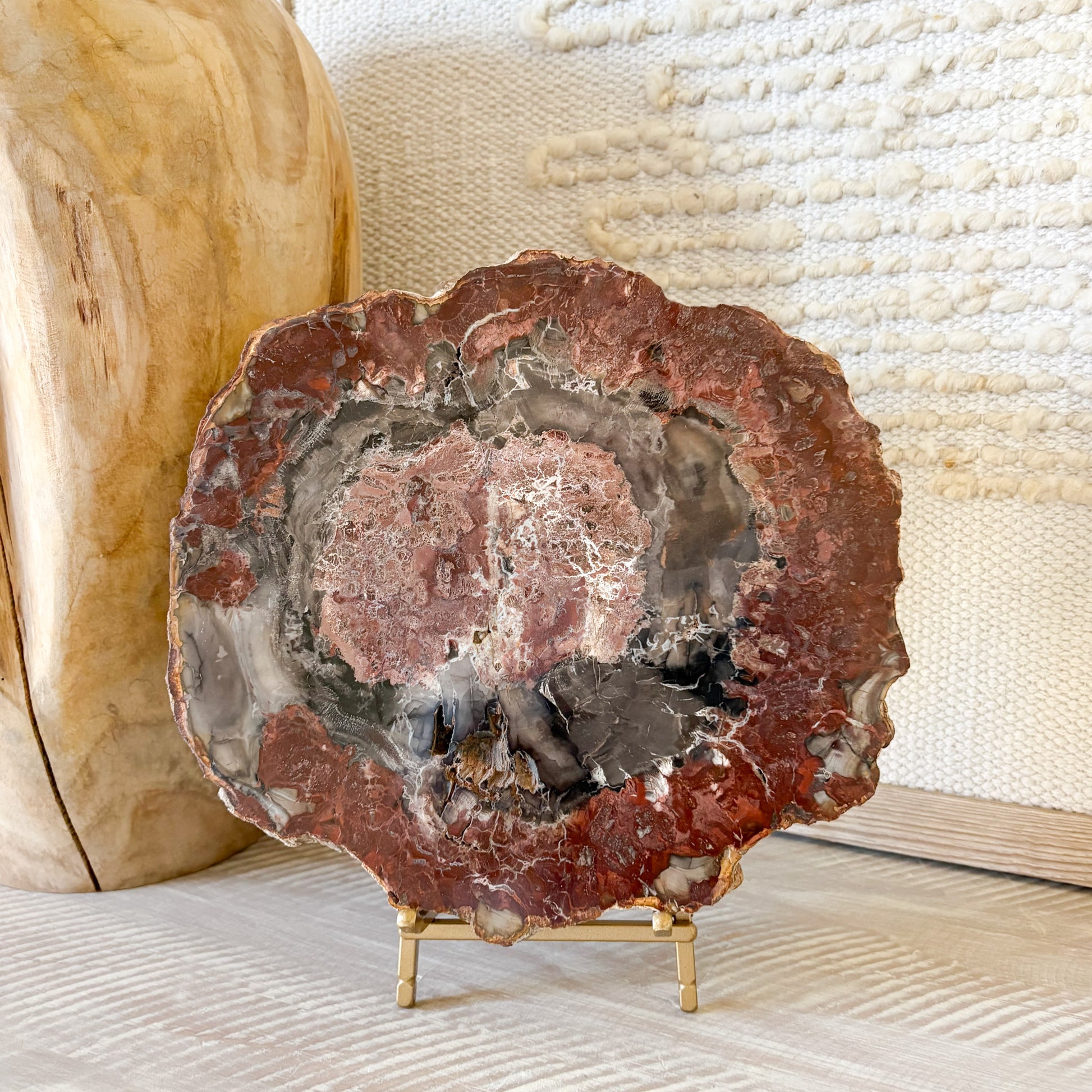Close up of Madagascar petrified wood slab showing preserved grain detail