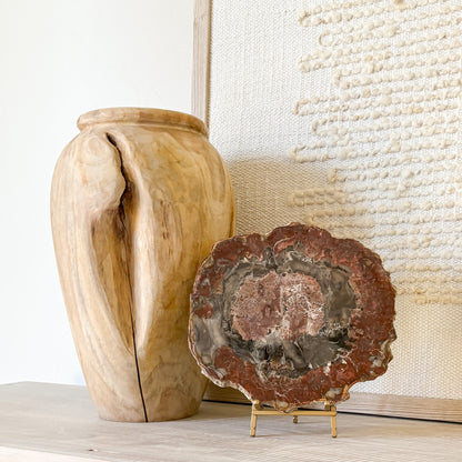 Madagascar petrified wood slab with natural wood grain patterns and earthy tones