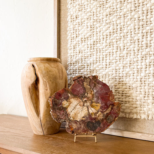 Colorful Madagascar petrified wood slab featuring preserved tree rings and mineralization