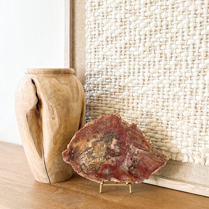 Madagascar petrified wood slab decor piece with natural crystal inclusions