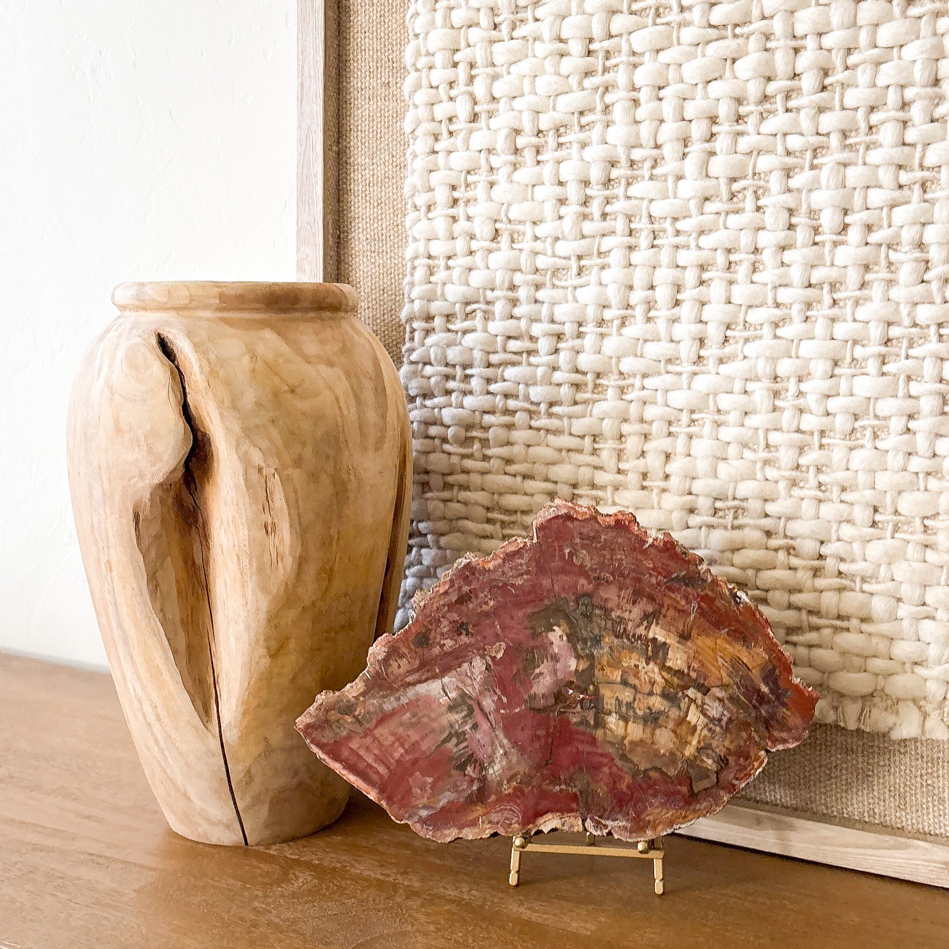 Luxury Madagascar petrified wood slab display specimen in warm earth tones