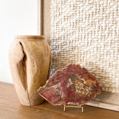 Luxury Madagascar petrified wood slab display specimen in warm earth tones