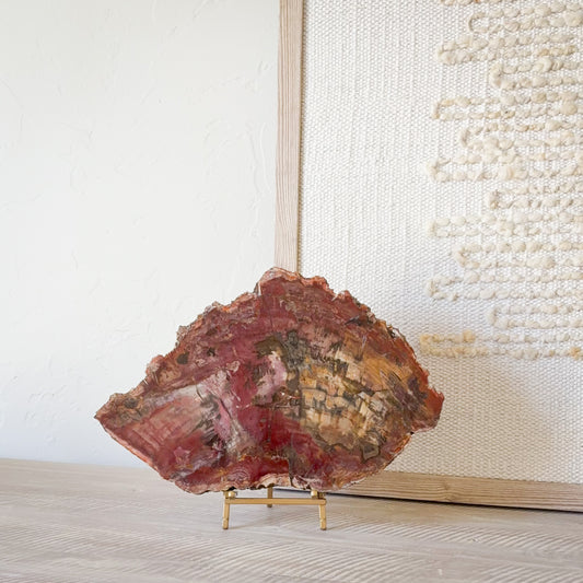 Madagascar fossil wood decor piece on brass stand showcasing natural agate mineral patterns